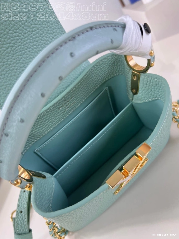 Aaa replica ru LOUIS VUITTON MINI-22*12*8CM CAPUCINES 0713
